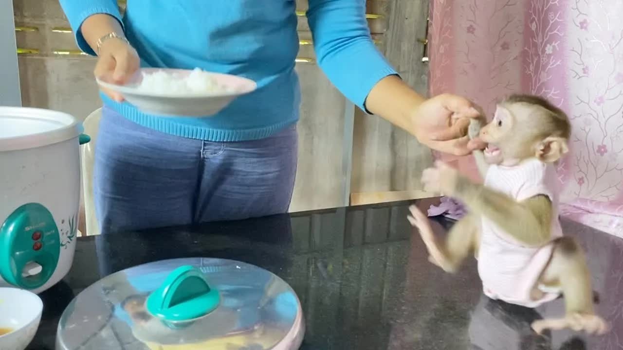 Hungrily DAM Force Grabbing Rice Plate To Eat Can't Sit Manner