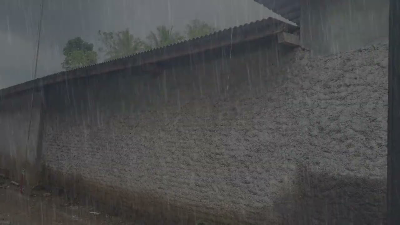 Rain on Roof Sounds  Cozy Rain ASMR for Deep Sleep 🏠🌧️