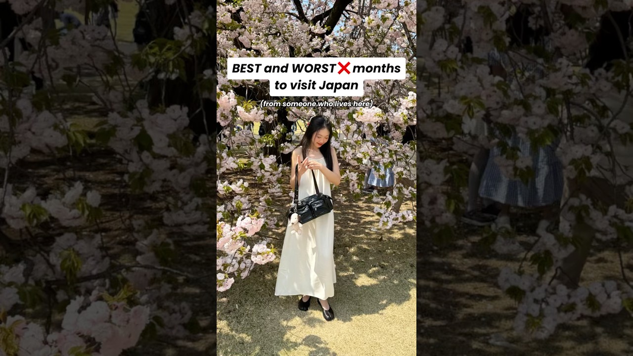WORST And BEST Months To Travel To Japan #japan