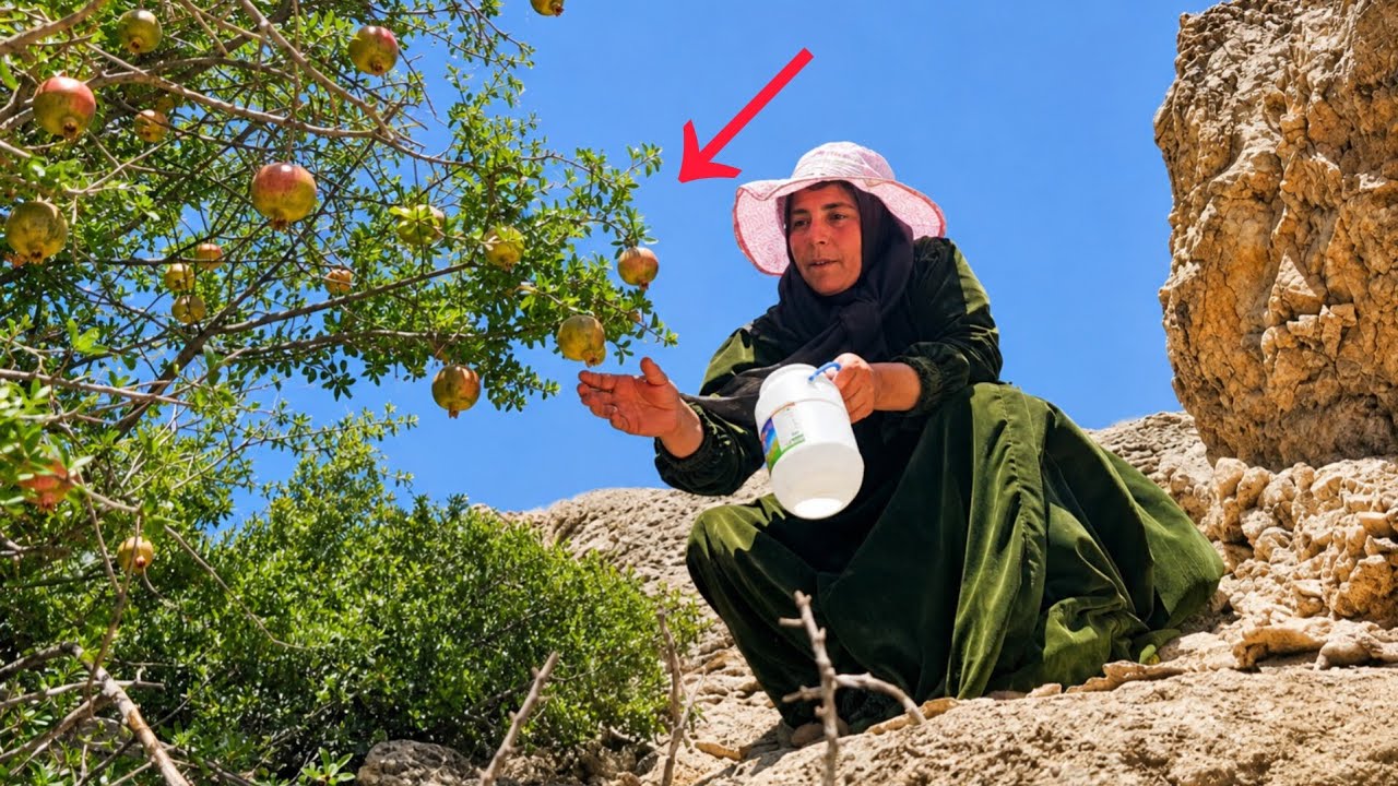 Zainab's mountain journey with a load of fruit for her children
