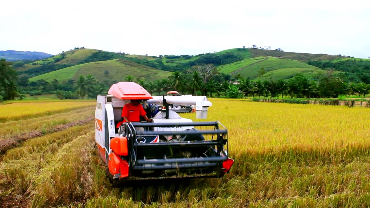 kubota- cosechadora - DC-70G