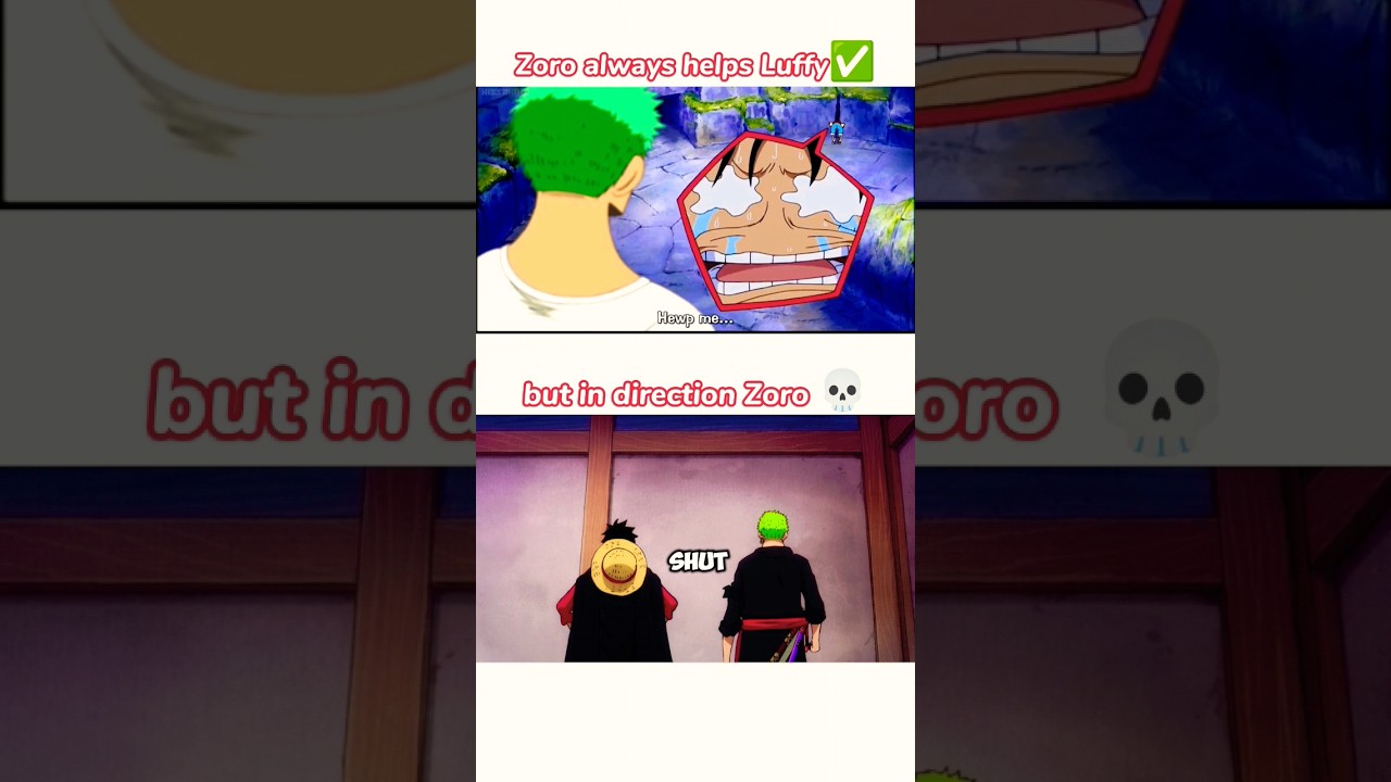 Luffy and Zoro direction problem moments #onepiece #luffy #zoro