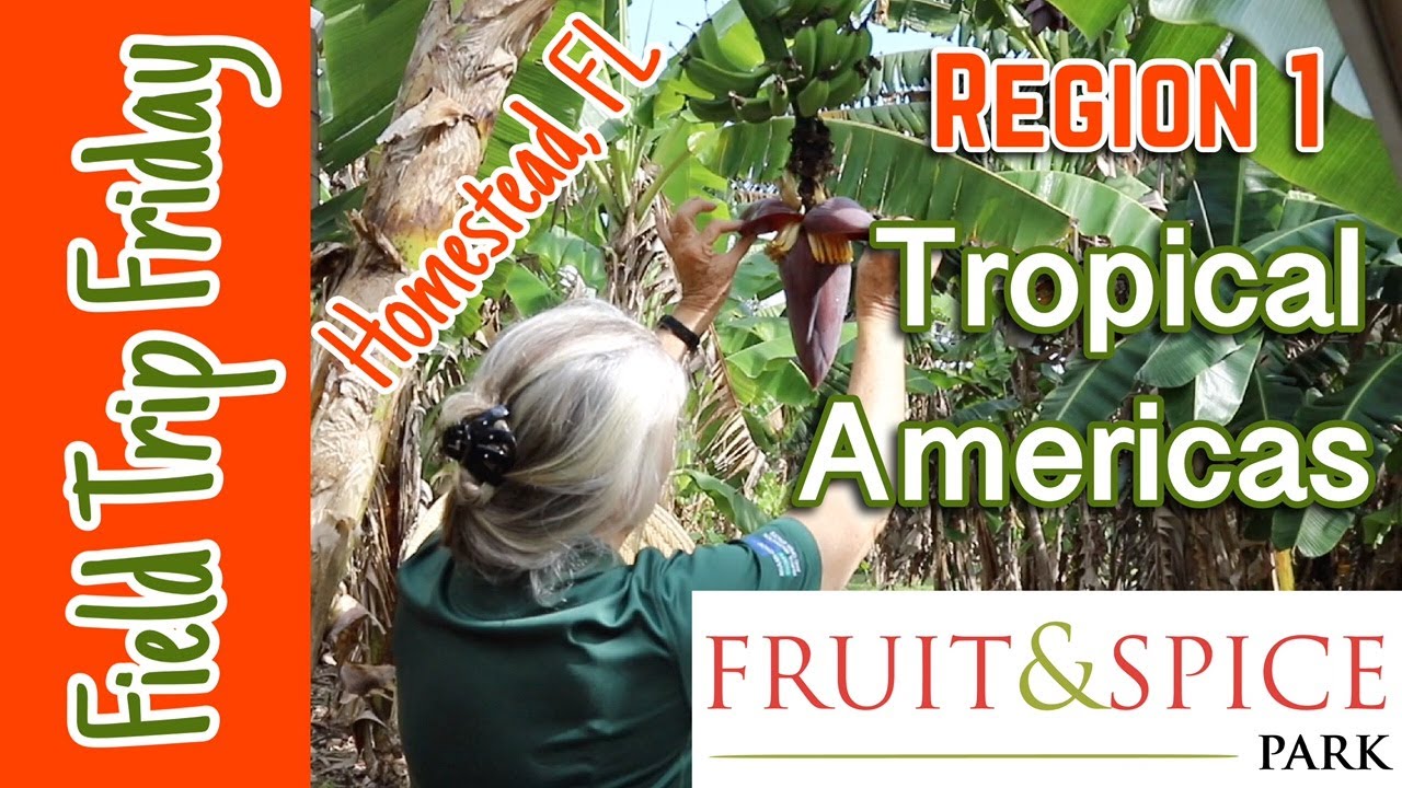 Field Trip Friday- Fruit and Spice Park (Homestead, FL) | Tropical Americas