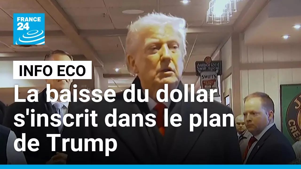 Pourquoi la baisse du dollar s'inscrit dans le plan de Donald Trump • FRANCE 24