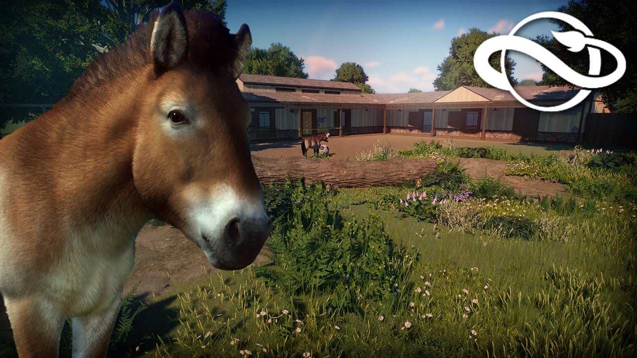 Building a Run Down Horse Habitat in Planet Zoo