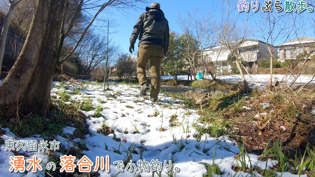 湧水の川なら積雪後の釣行でも釣れる♪   東久留米市 湧水の落合川で小物釣り。