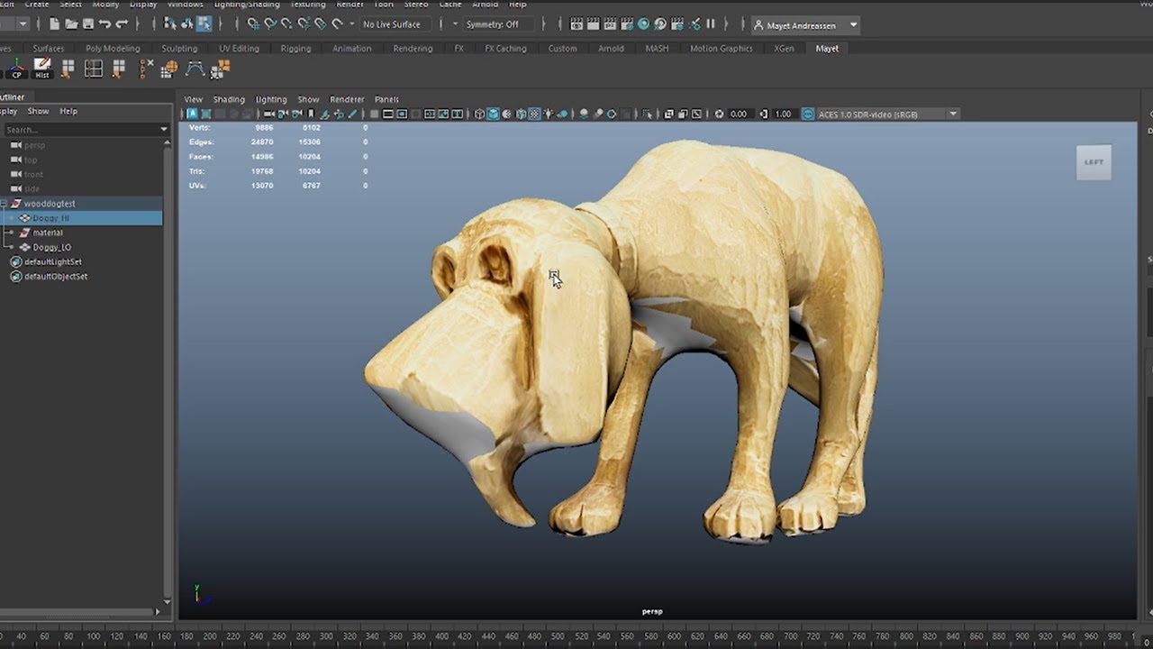 Photogrammetry to Maya to Substance Painter