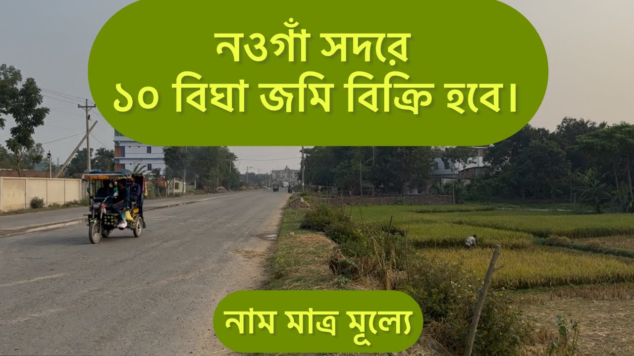 নওগাঁ সদরে কম দামে ১০ বিঘা জমি কিনুন। #নওগা #জমি 