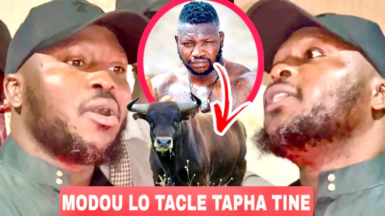 MODOU LO DETRUIT TAPHA TINE 