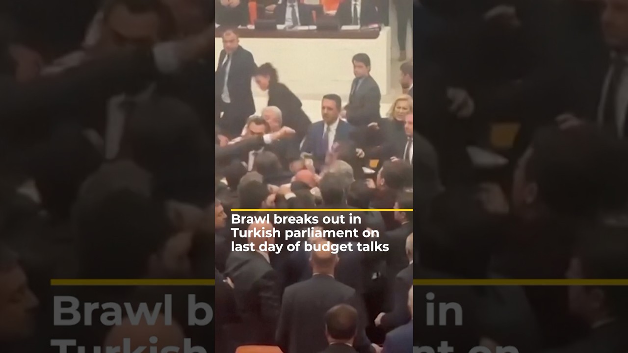 Brawl breaks out in Turkish parliament on last day of budget talks