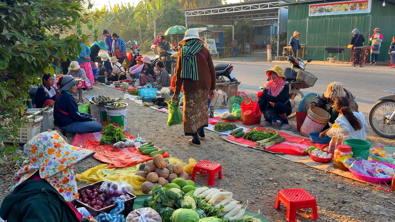 សំបូរត្រីស្រែលក់ណាស់ សុទ្ធតែត្រីរ៉ស់