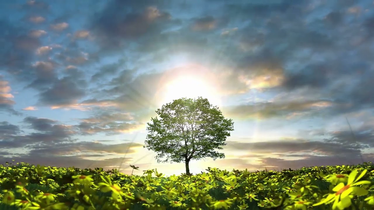 Медитация «Плыви по течению» — осознанная история