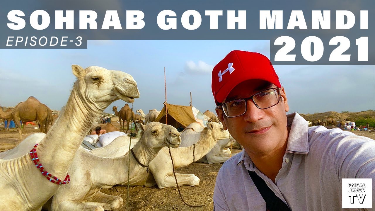 CAMEL MANDI 2021 SOHRAB GOTH KARACHI | Episode 3 | Faisal Javed TV