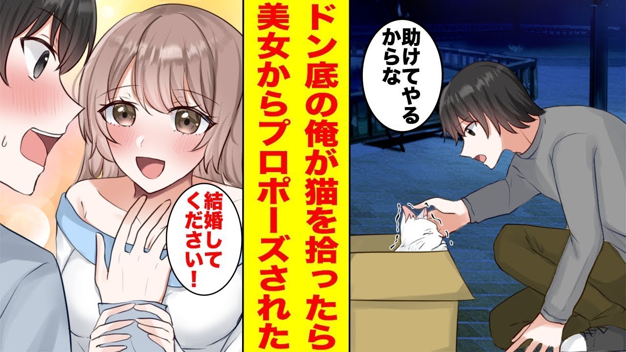 引きこもりの無職の俺が、ボロボロの猫を拾ったら人生が一変！→美女「助けてくれてありがとう」俺「猫からの感謝？」