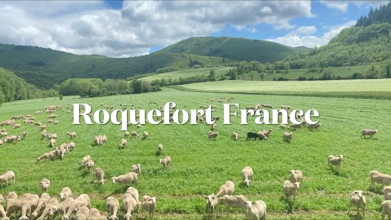 Roquefort France