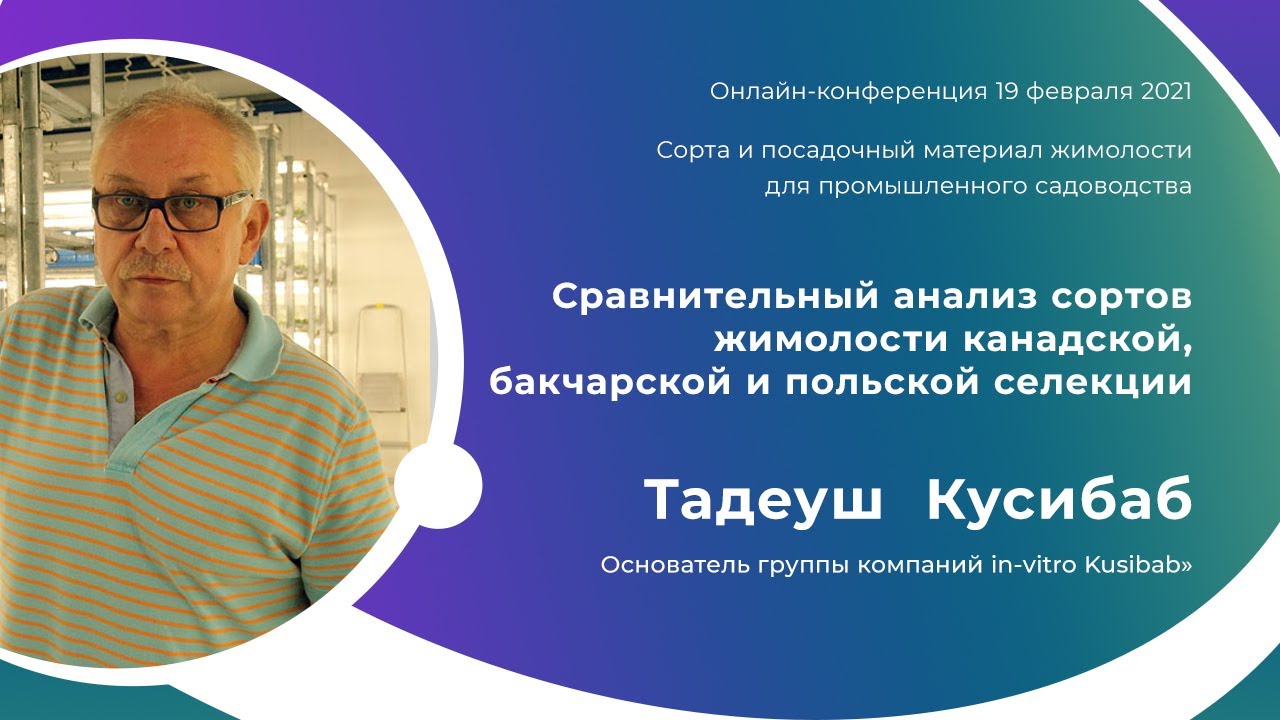 Сравнительный анализ сортов жимолости канадской, бакчарской и польской селекции. Кусибаб Т.