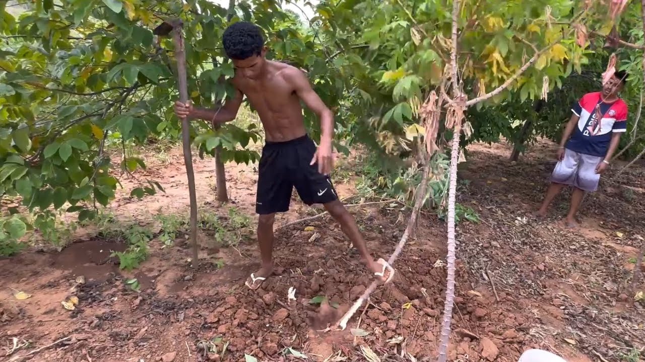 BRUTINH0 FOI NA ROÇA PEGAR MANDI0CA E OLHA O QUE AC0NTECEU
