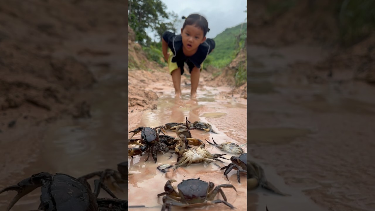 Survival Skills: single mom with a lot of crabs🦀🦀in forest #singlemom #survival #camping #outdoors