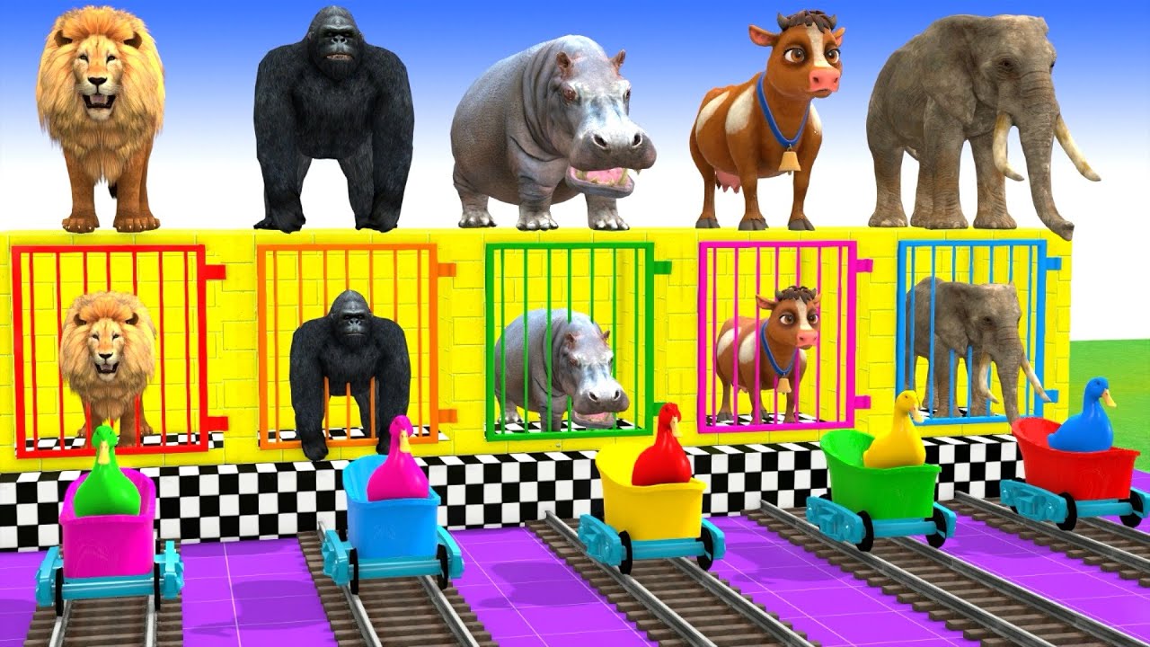 Long Slide Game With Elephant Gorilla Buffalo Hippopotamus Tiger 3d Animal Game Funny 3d Animals