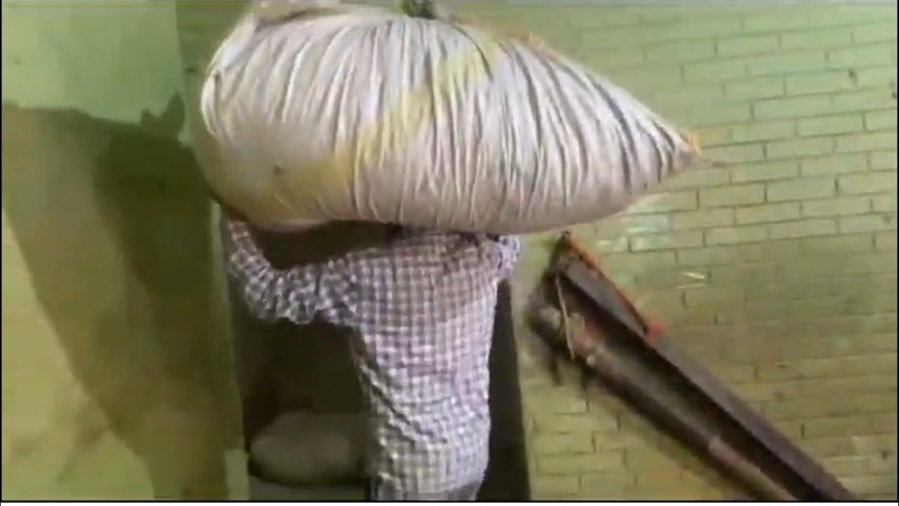 Pardeep or papa Leke  aaye bhainson ke liye bhoosh 🐄 .  