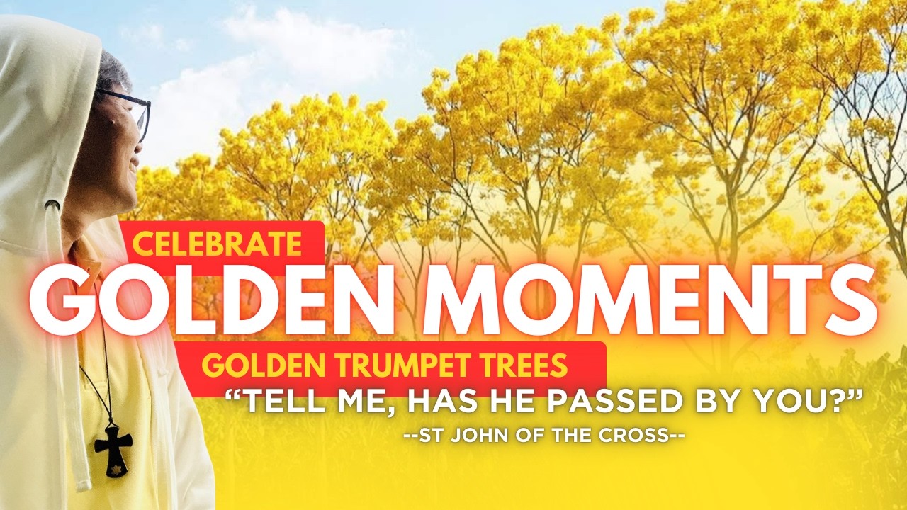 TELL ME, HAS HE PASSED BY YOU? ❤️‍🔥 SAINT JOHN OF THE CROSS IMAGE OF CREATION 🥰 GOLDEN TRUMPET TREES
