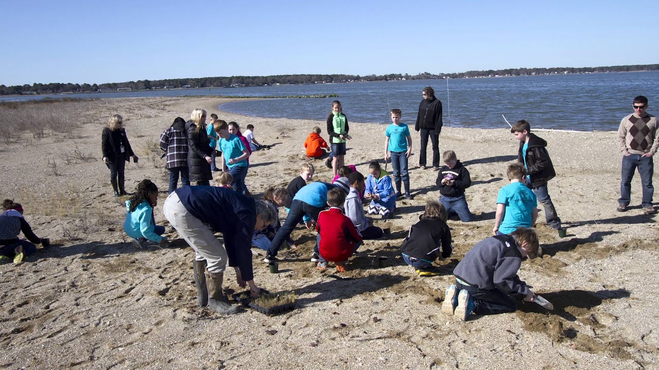Norfolk District earns River Star award