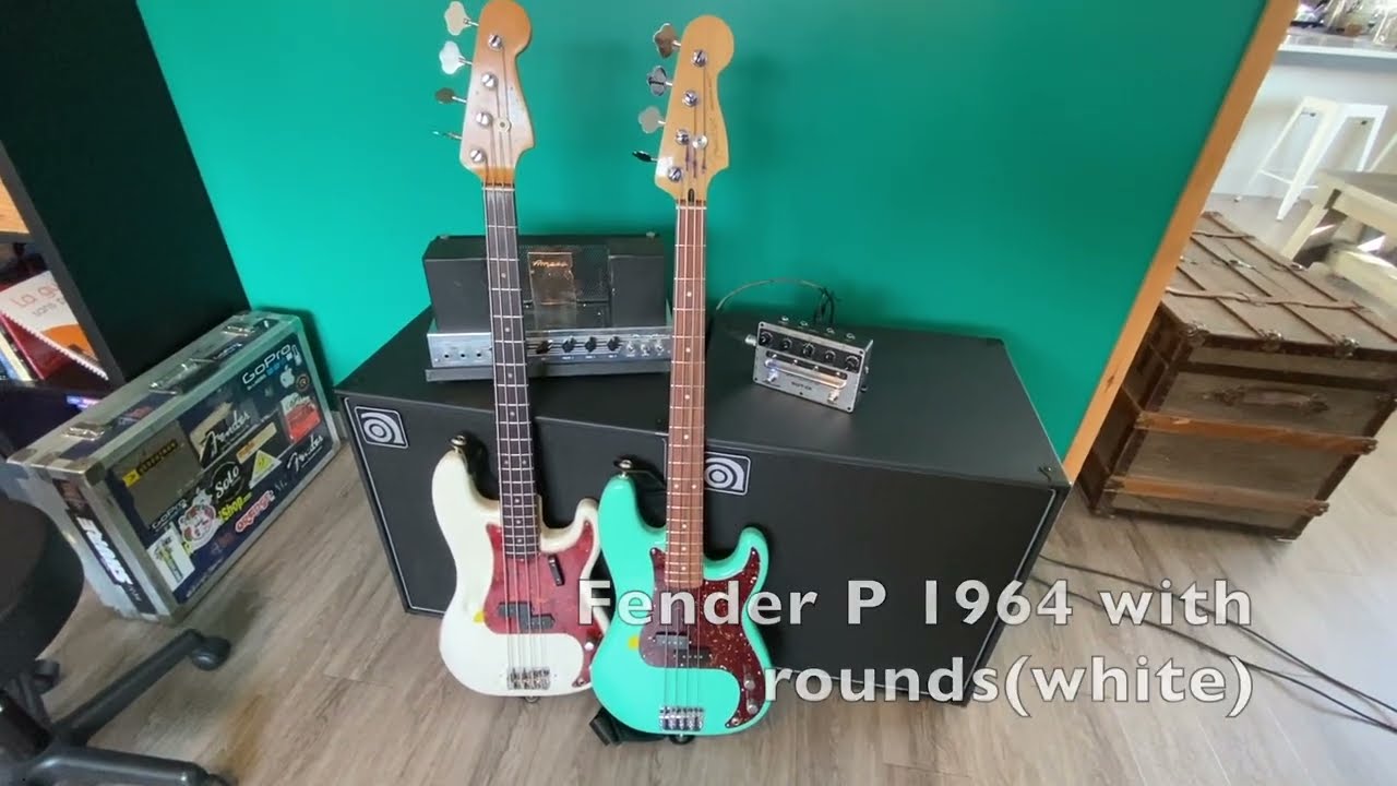 Ampeg SGT-Di VS Ampeg B15(B18)