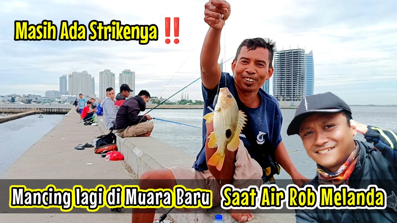 Terkini‼️Nekat Mancing disaat Rob melanda di Muara Baru || Alhamdulillah masih ada strikenya