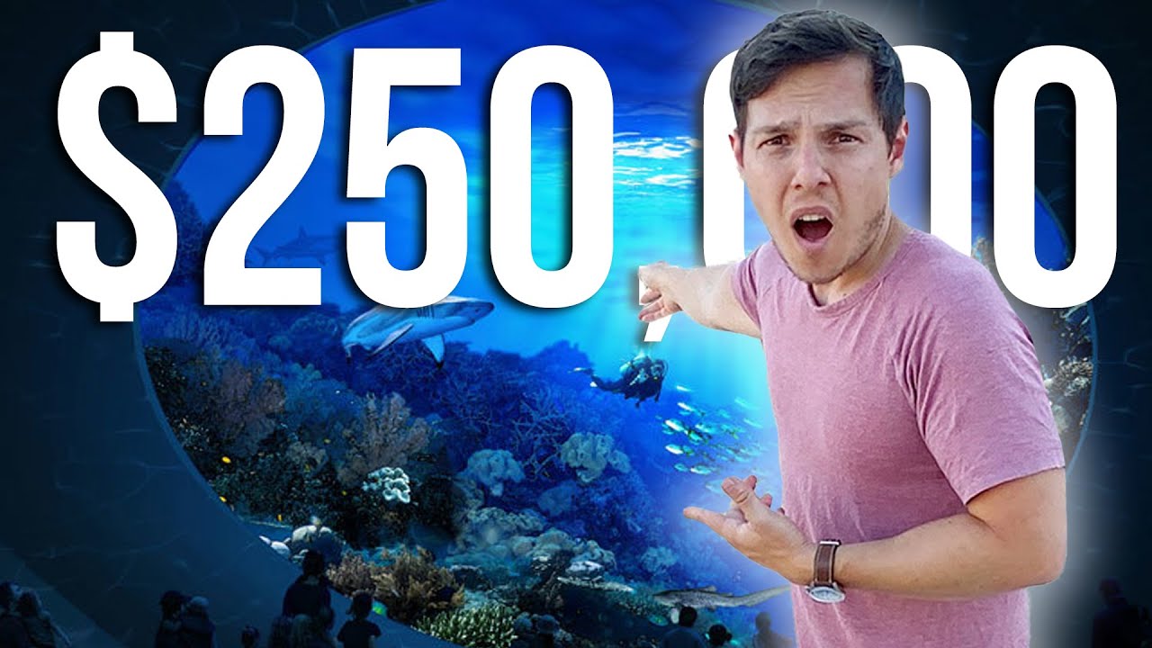 THE $250,000 REEF AQUARIUM REVEAL