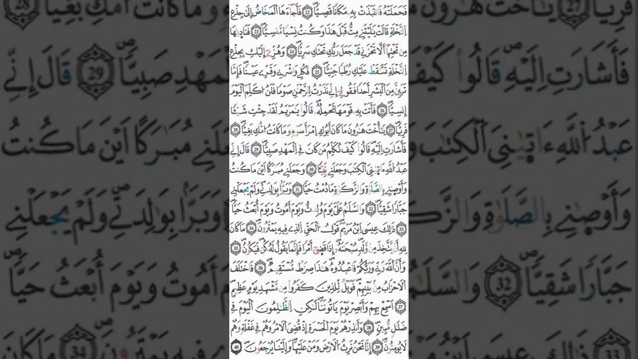 الثمن 5 الحزب 31 برواية ورش عن نافع بصوت القارئ رشيد صابر 