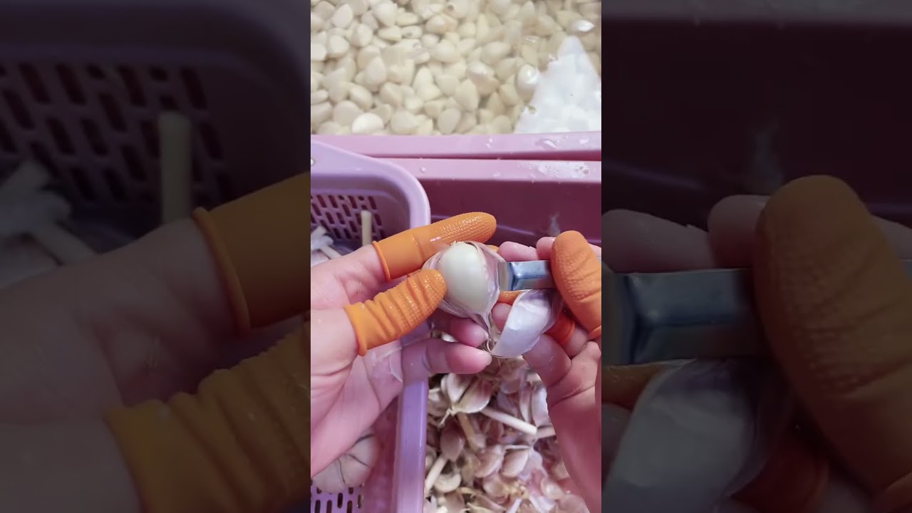 Chinese Cuisine Preparation的副本