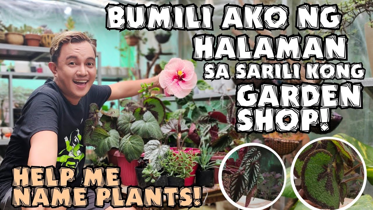 I BOUGHT PLANTS IN MY OWN GARDEN SHOP | HELP ME NAME PLANTS