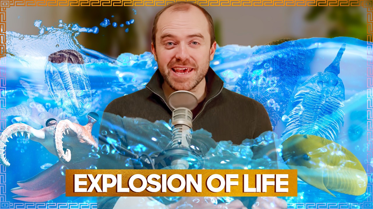 The Cambrian Explosion (Evolution 538 MILLION Years Ago)