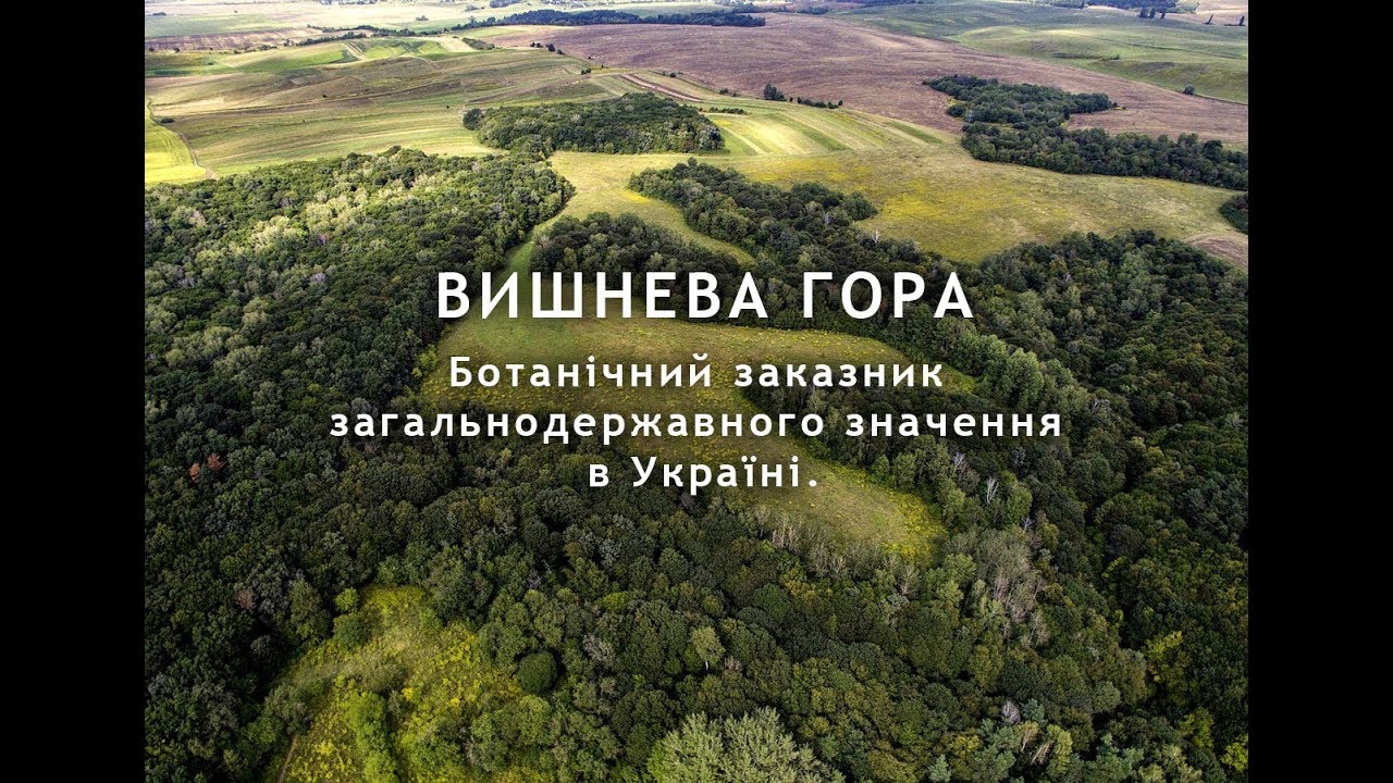 Вишнева гора.  Рівненщина.