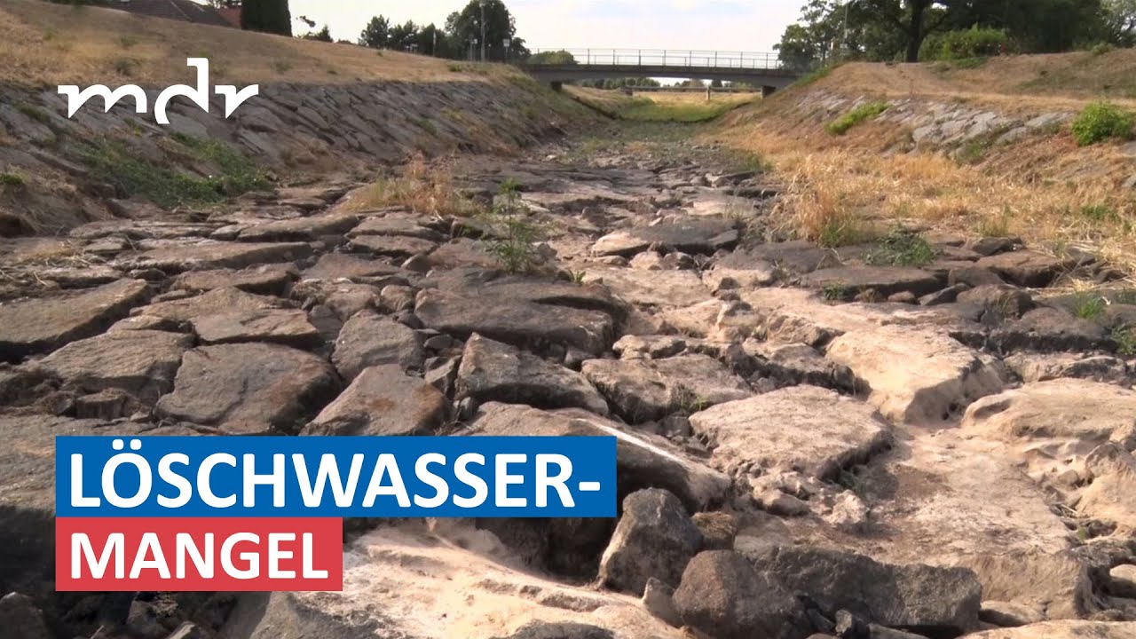 Erhöhte Brandgefahr und ausgedörrte Böden – die Folgen der Trockenheit | MDR um Zwei | MDR