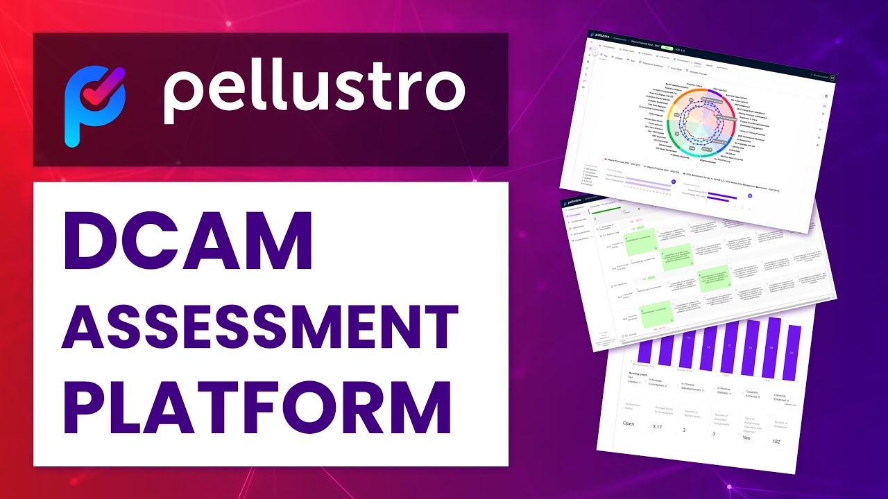 Pellustro DCAM Assessment Platform Demo