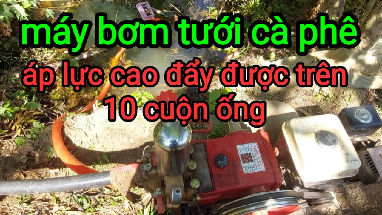 Thanh Hải TV máy bơm tưới vườn cà phê