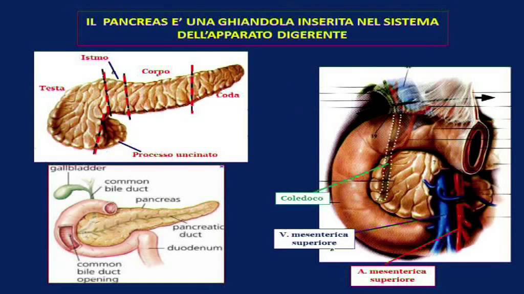 Trattamento chirurgico del tumore del pancreas