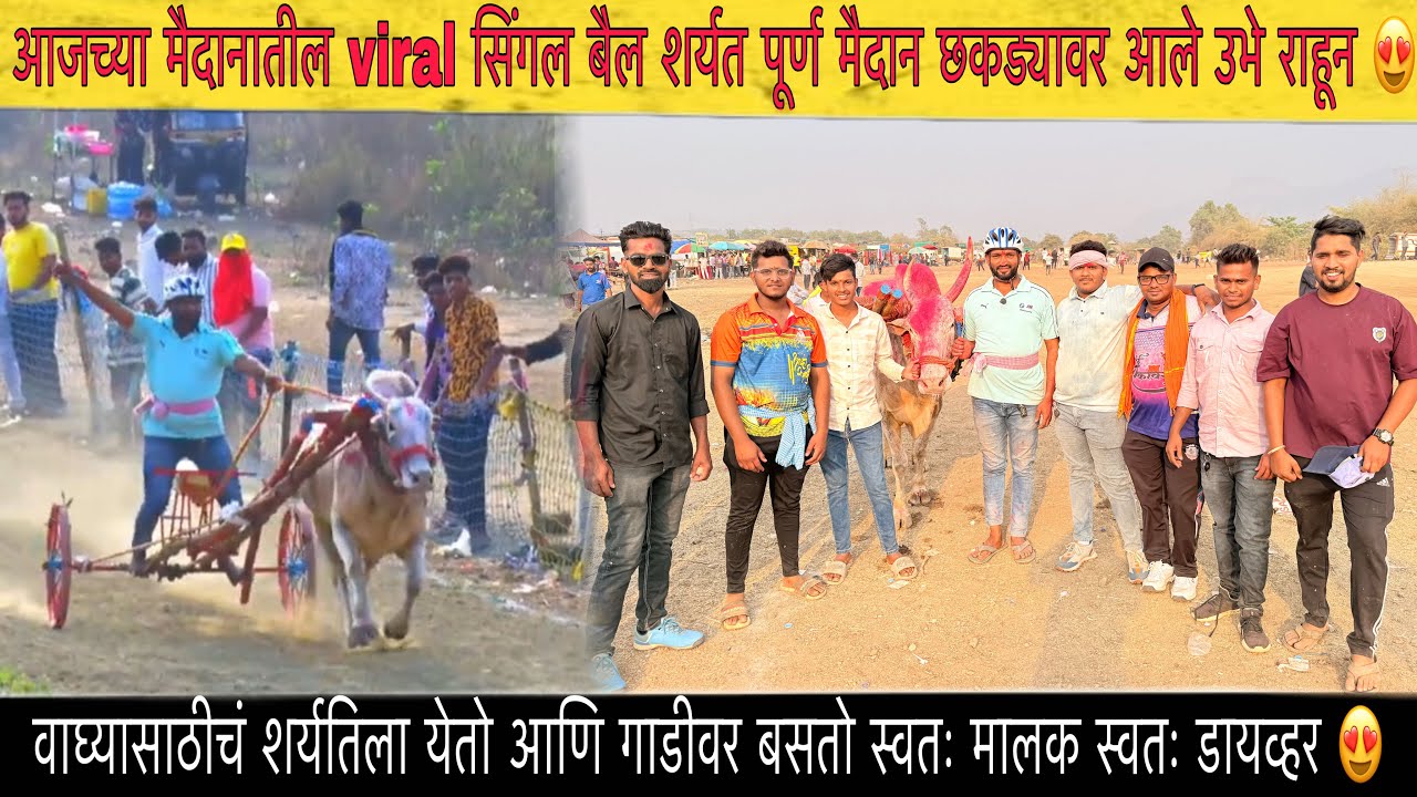 चक्क सिंगल बैल शर्यती मधे पूर्ण मैदान छकड्यावर आले उभे राहून आले स्वतः ड्राइवर गाडामालक 😍