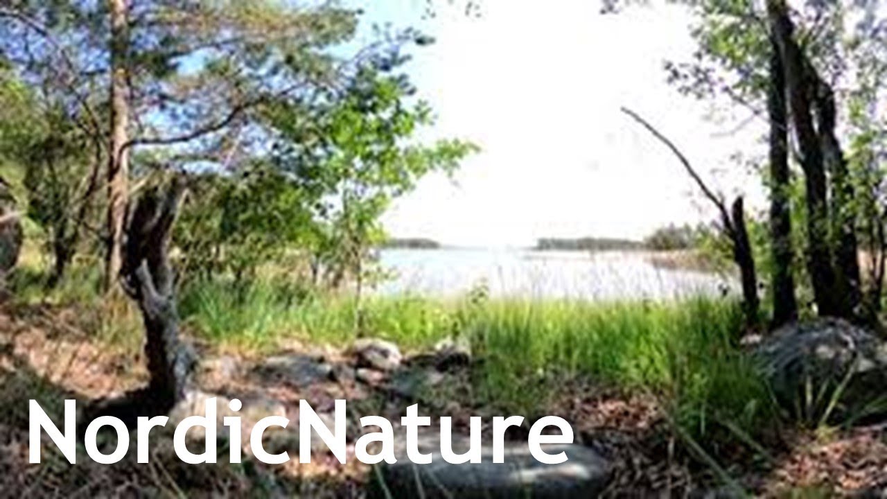 Coast of the Baltic Sea 360, Nordic nature