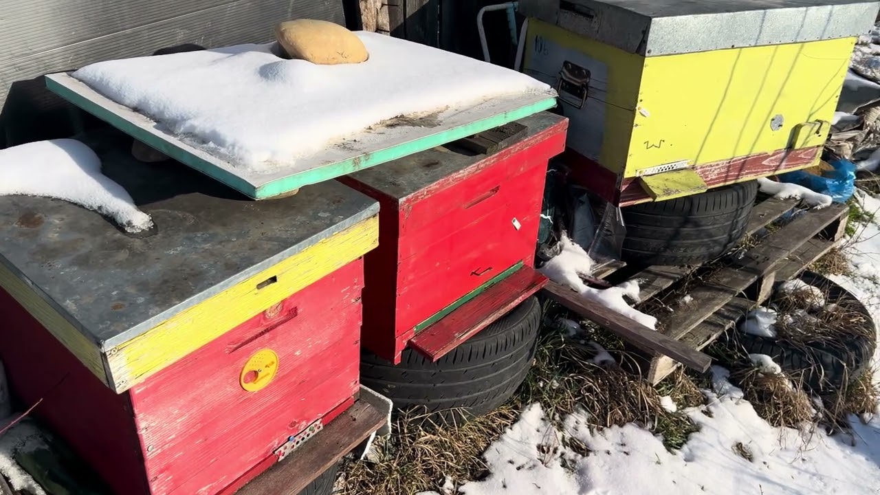 11.01.2026.  🐝 Conservăm căldura in fiecare familie. 
