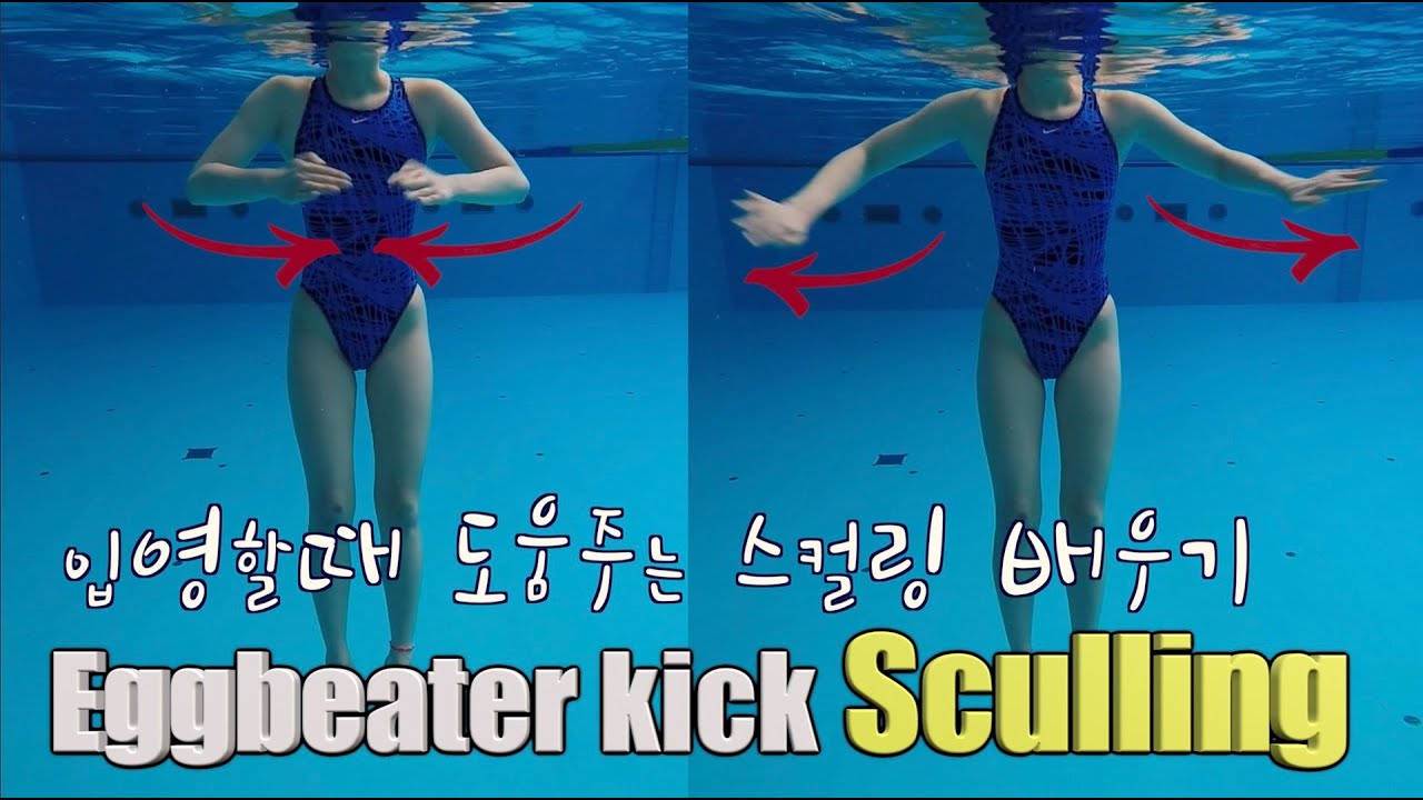 이현진 수영 / how to eggbeater kick / how to sculling / 입영스컬배우기