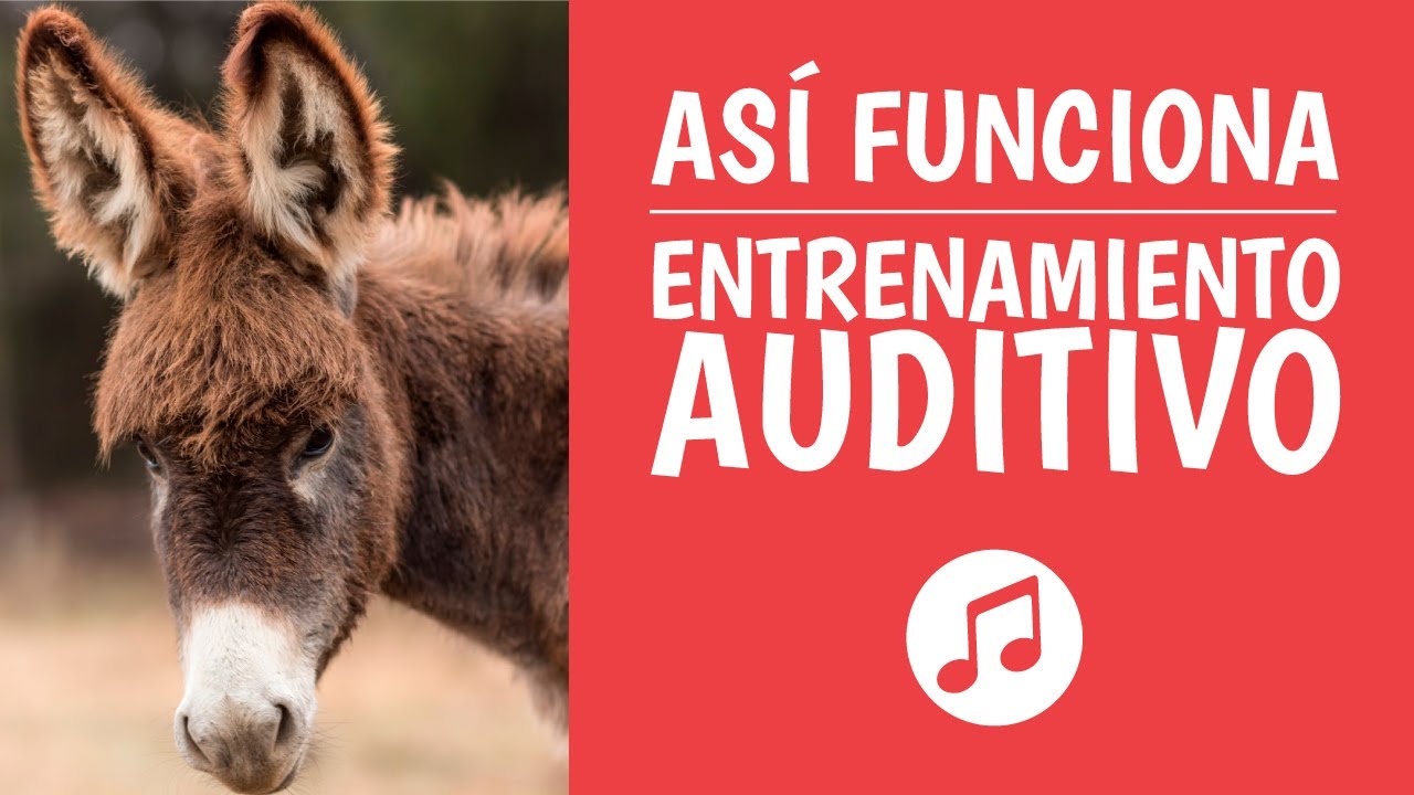 La Magia del Entrenamiento Auditivo [Oído Relativo + Oído Absoluto]
