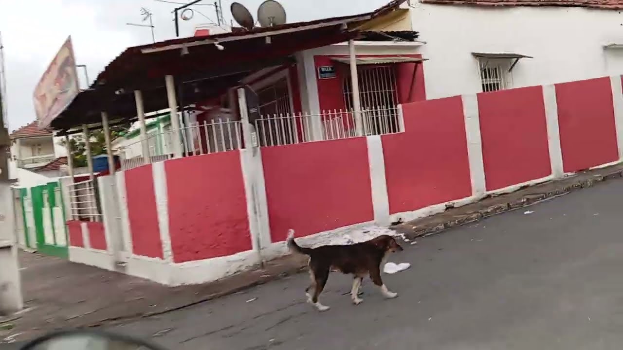 NA PE 90 NO ALTO SÃO SEBASTIÃO NA RUA DA ALEGRIA E NA FEIRA LIVRE DE LIMOEIRO-PE 18/02/2025