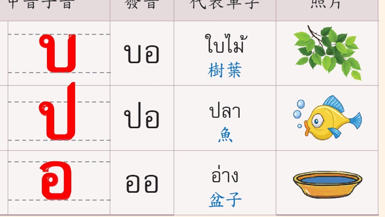 P04 03 #泰語很好學 #第四冊第三課拼字บอ