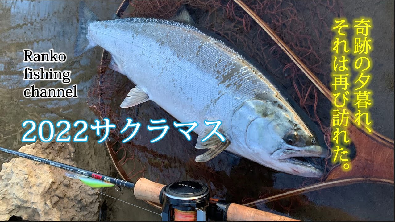 【サクラマス】夕マズメのメイクドラマⅡ【桜鱒ベイト】