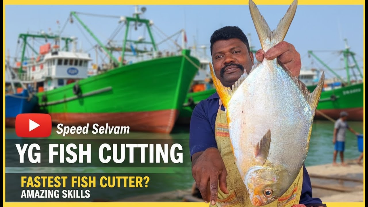 KASIMEDU  SPEED SELVAM🔥 TREVALLY Fish Cutting 