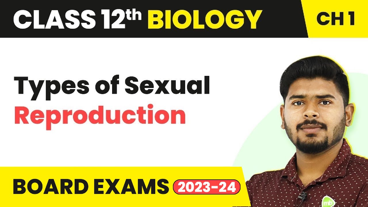 Types of Sexual Reproduction - Reproduction in Organisms | Class 12 Biology (2022-23)