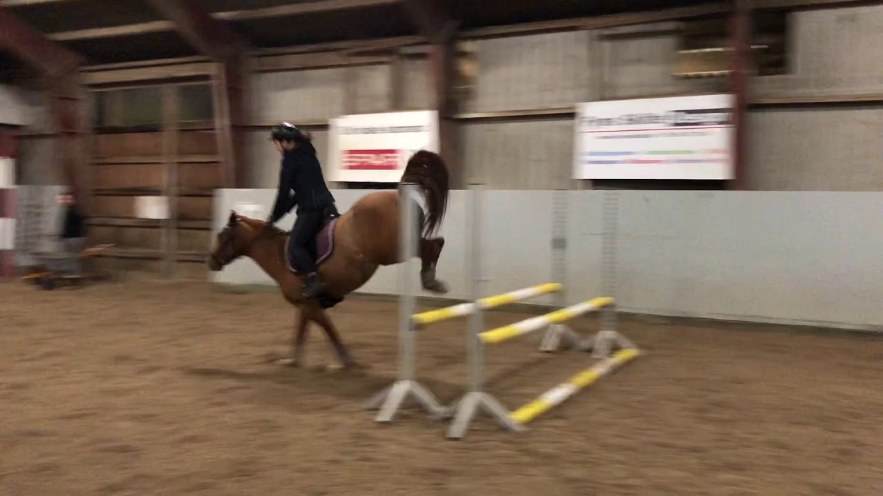 springning - salgsvideo