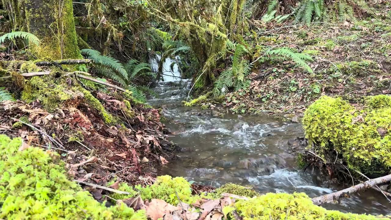 Waterfall at Stillwell